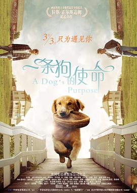 污网站在线观看视频